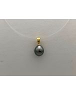 14ct yellow gold pendant with tahitian pearl